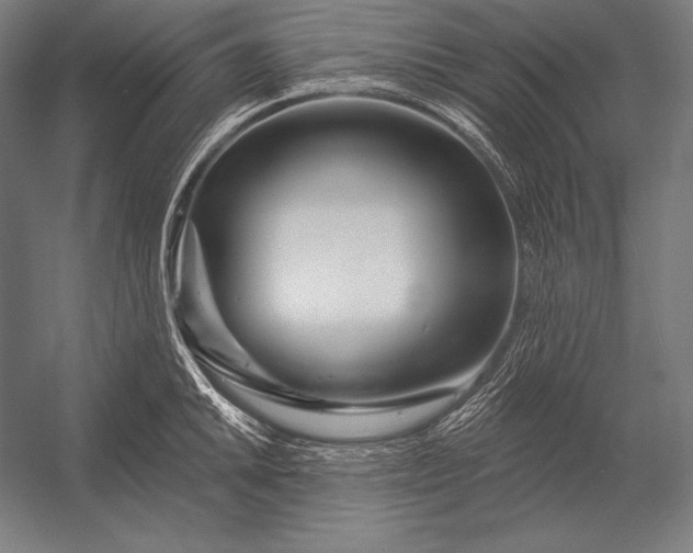 X0000053021046200507221334