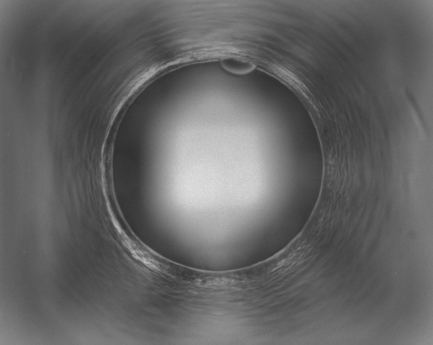 X0000053021047200507221334