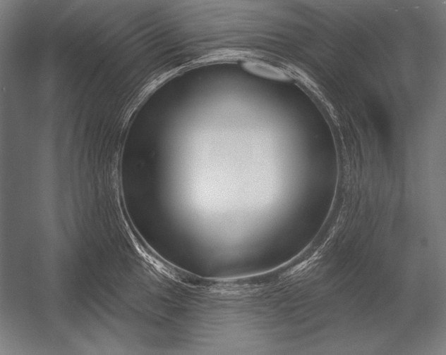 X0000053021049200507221334