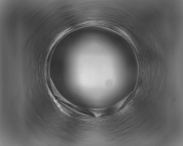 X0000053021050200507221334