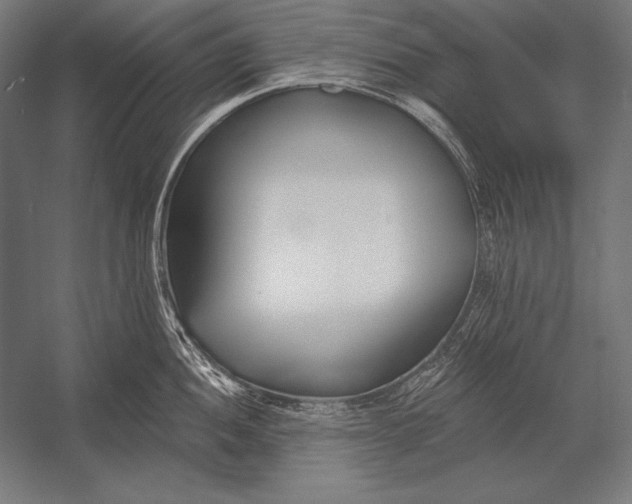 X0000053021052200507221334