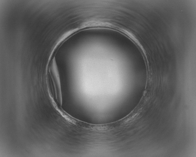 X0000053021053200507221334