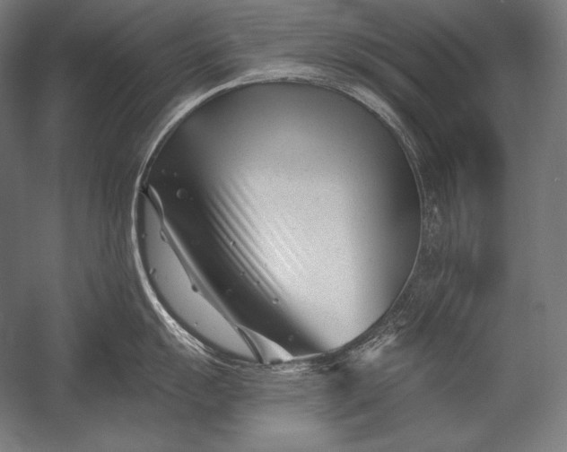 X0000053021055200507221334