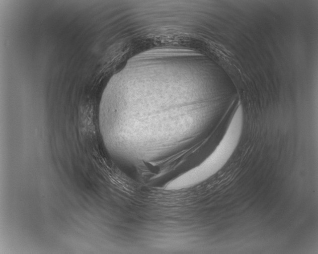 X0000053021060200507221334
