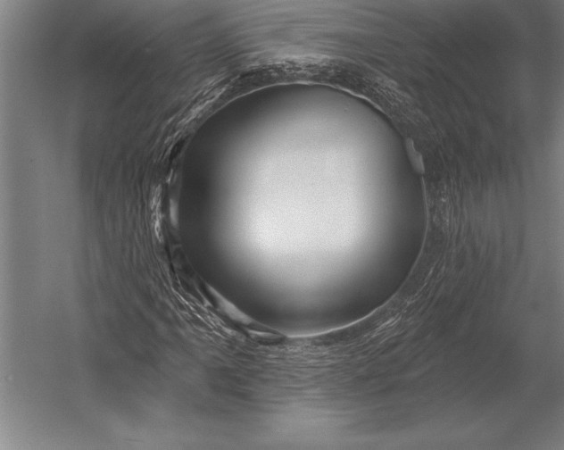 X0000053021061200507221334