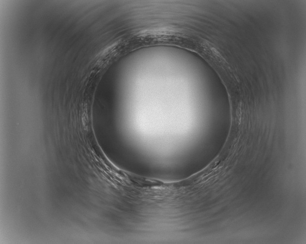X0000053021062200507221334