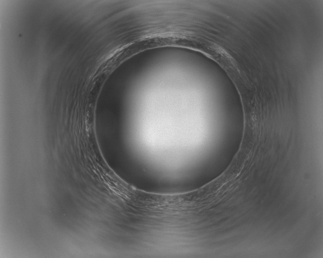 X0000053021064200507221333