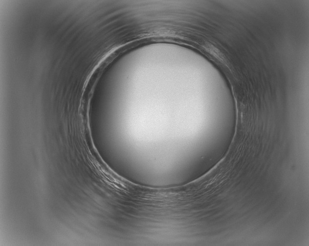 X0000053021068200507221333