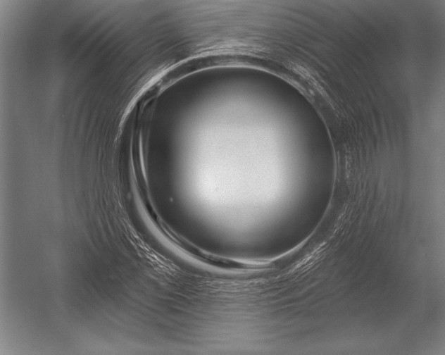 X0000053021069200507221333