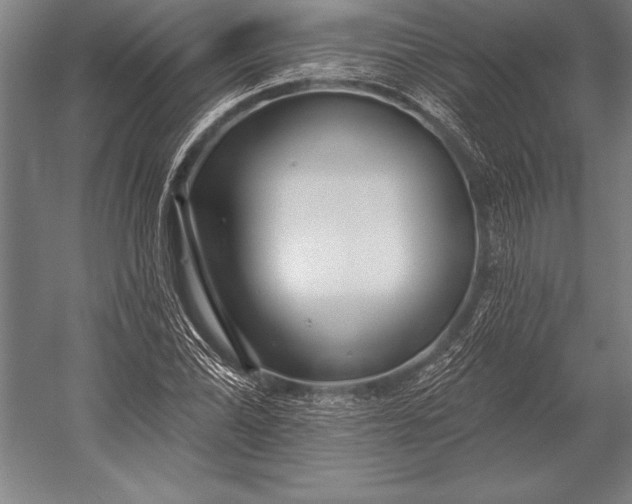 X0000053021070200507221333