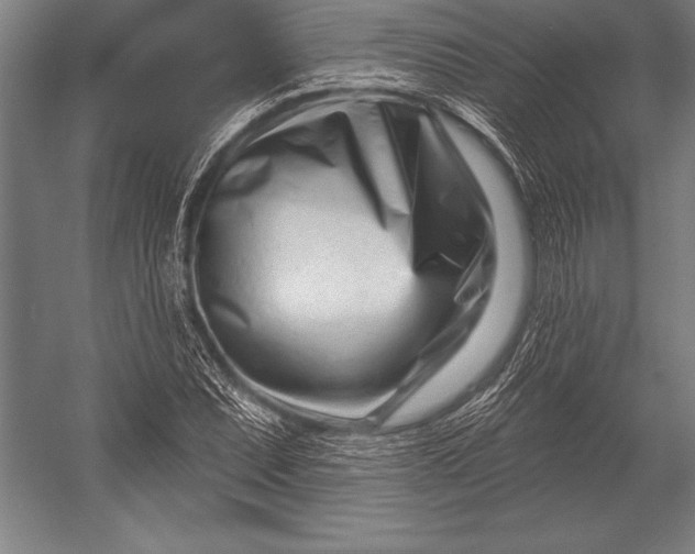 X0000053021071200507221333