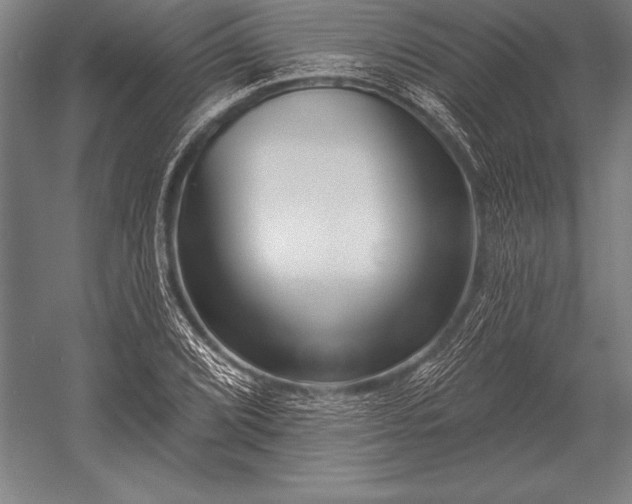 X0000053021072200507221333