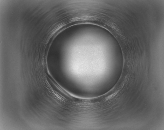 X0000053021073200507221333
