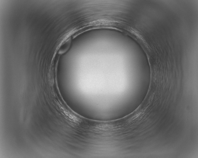 X0000053021075200507221333