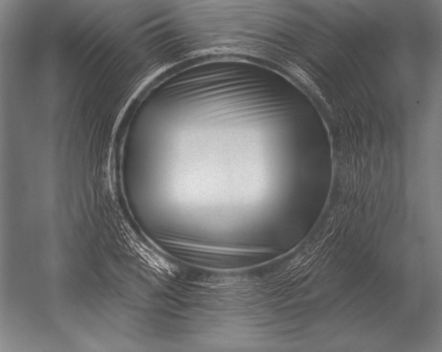 X0000053021076200507221333
