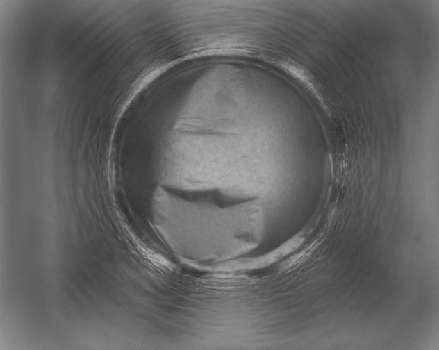 X0000053021077200507221333