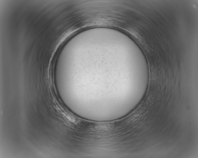 X0000053021078200507221333