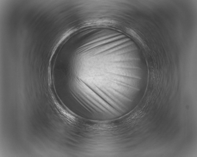 X0000053021079200507221333