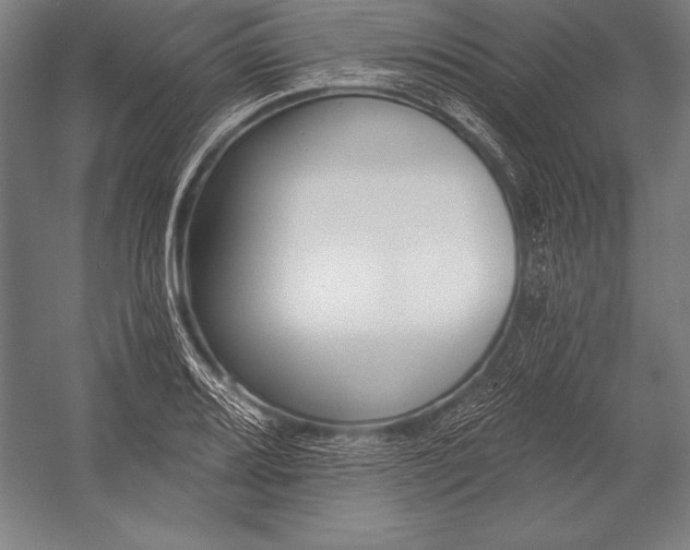 X0000053021080200507221333