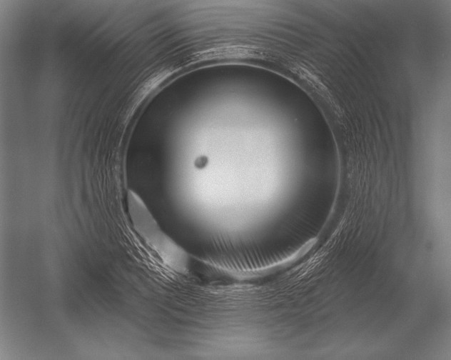 X0000053021081200507221333