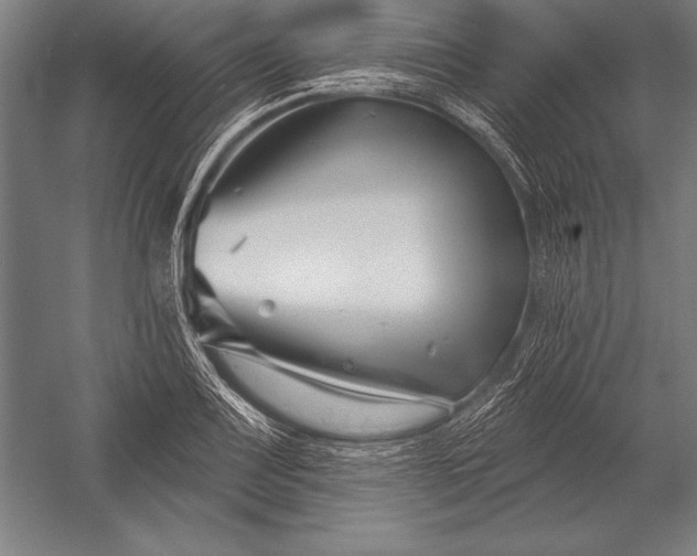 X0000053021083200507221333