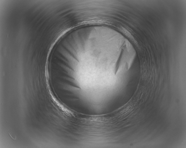 X0000053021084200507221333