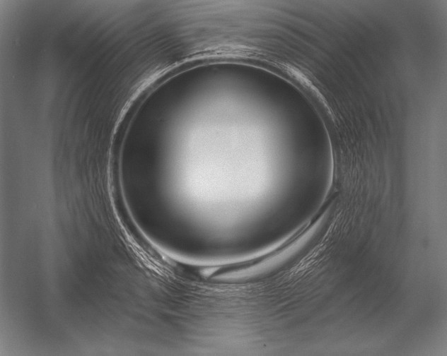 X0000053021085200507221333