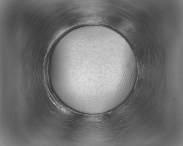 X0000053021086200507221333