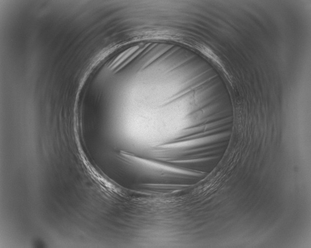 X0000053021088200507221333