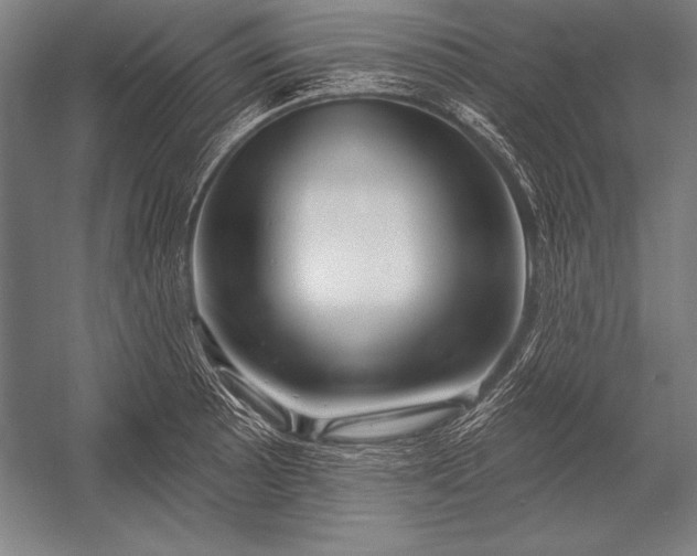 X0000053021089200507221333