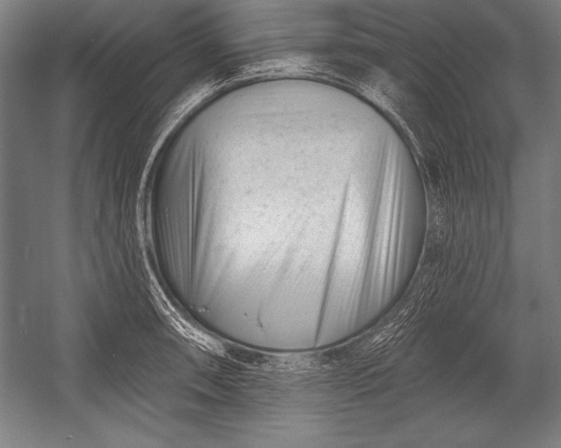 X0000053021090200507221333