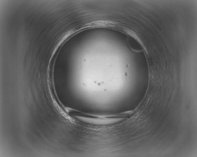 X0000053021091200507221333