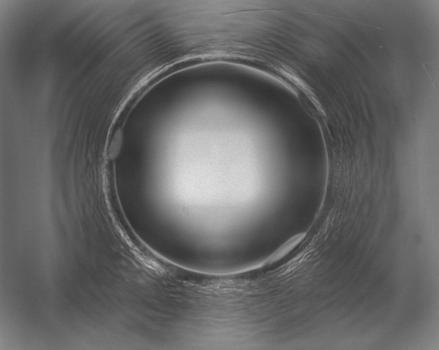 X0000053021093200507221333