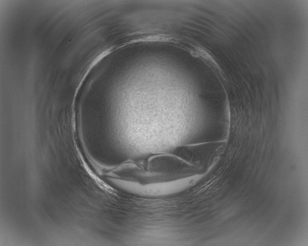 X0000053021095200507221333