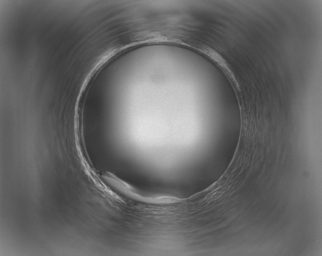 X0000053021096200507221333