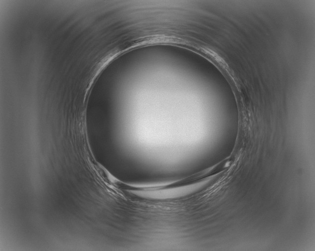X0000053021097200507221333