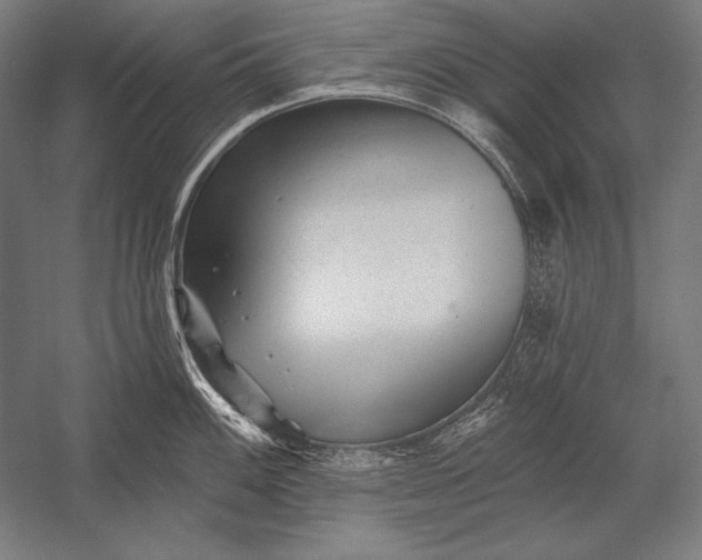 X0000053021100200507221333