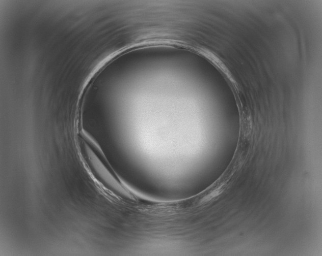 X0000053021101200507221333