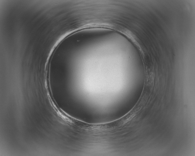 X0000053021102200507221333
