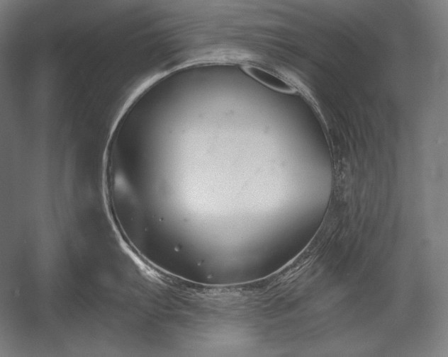 X0000053021103200507221333