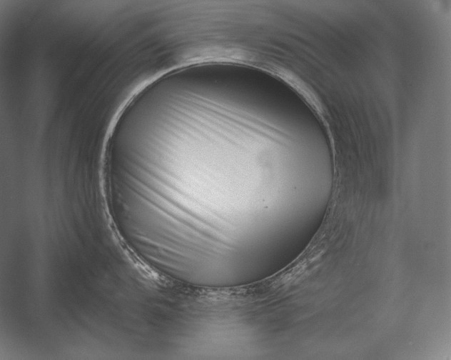 X0000053021104200507221333