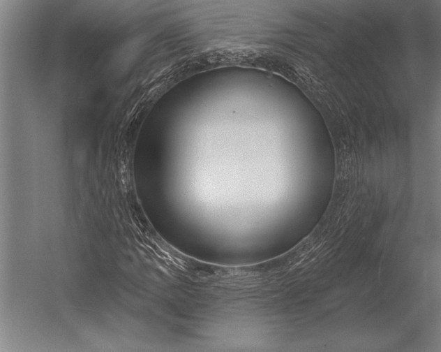 X0000053021109200507221332