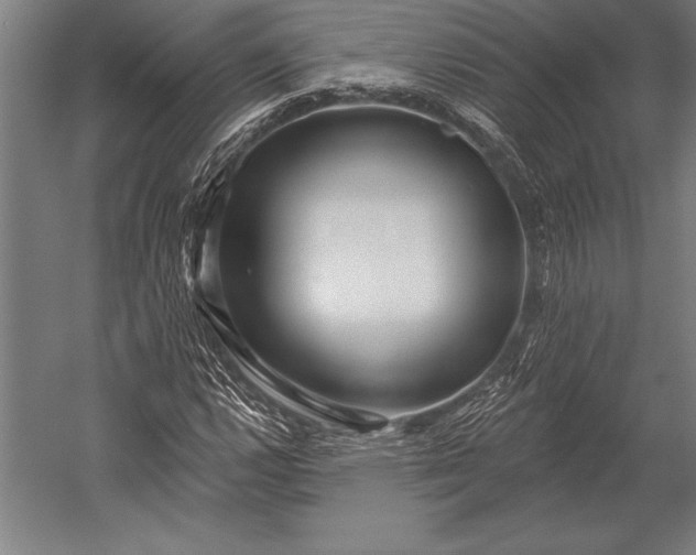 X0000053021112200507221332