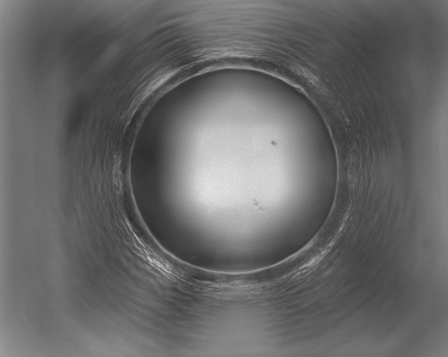 X0000053021113200507221332