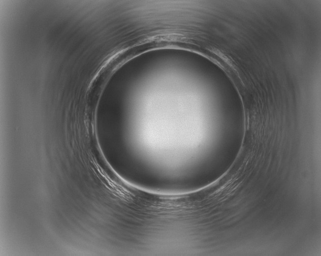 X0000053021115200507221332