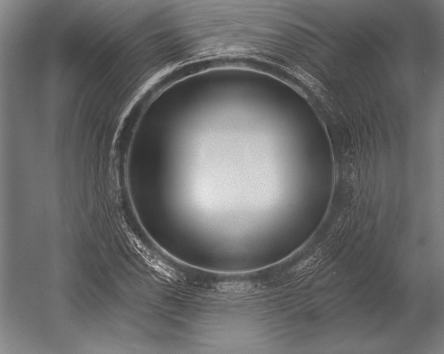 X0000053021118200507221332