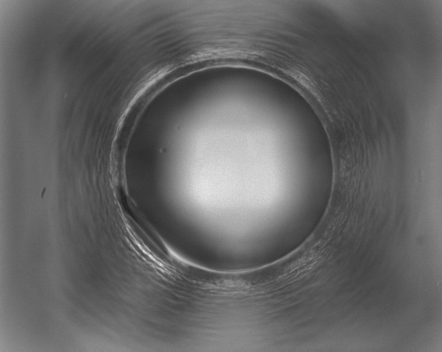 X0000053021119200507221332