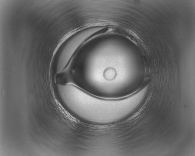 X0000053021122200507221332