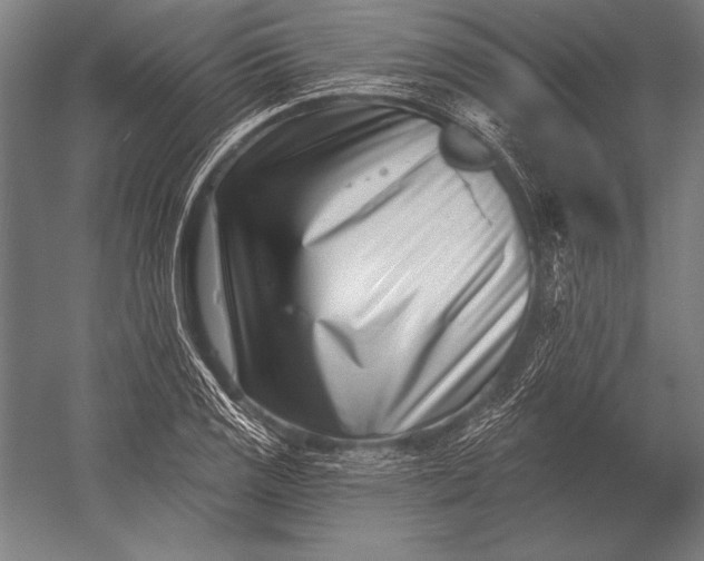 X0000053021125200507221332