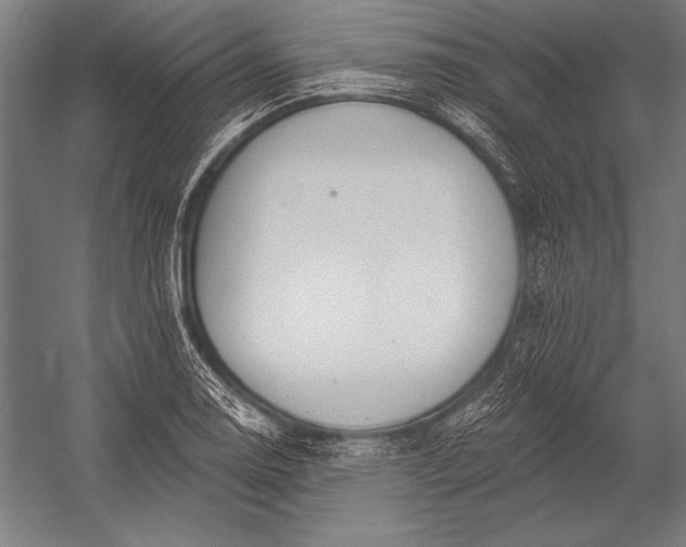 X0000053021130200507221332